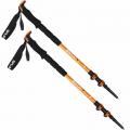 Треккинговые и лыжные палки