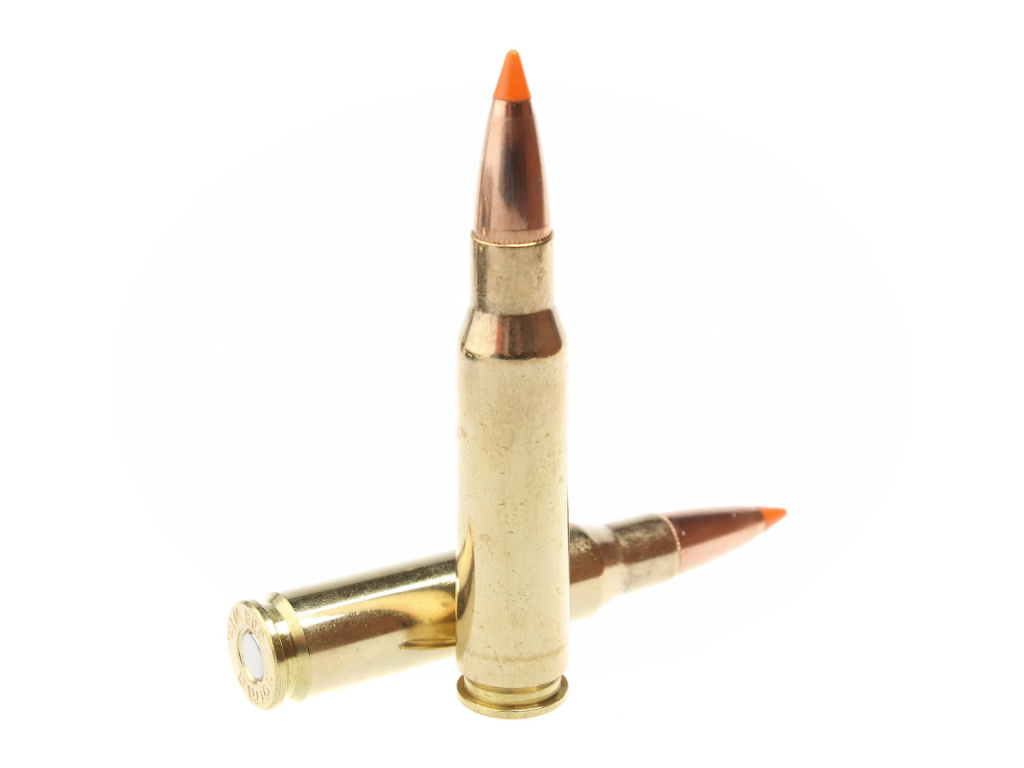Патрон .308W Norma 11.0 Tipstrike /1шт. (1)