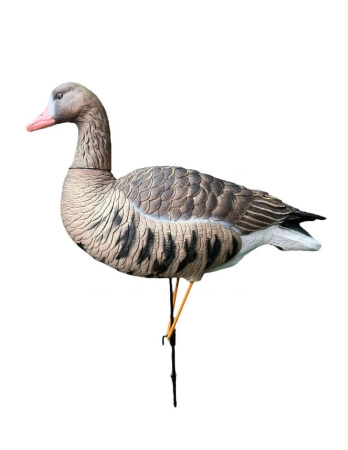 Гусь белолобый Oscar Decoys Avian-Mix Elite 3D (комплект 6шт) /ESG6/