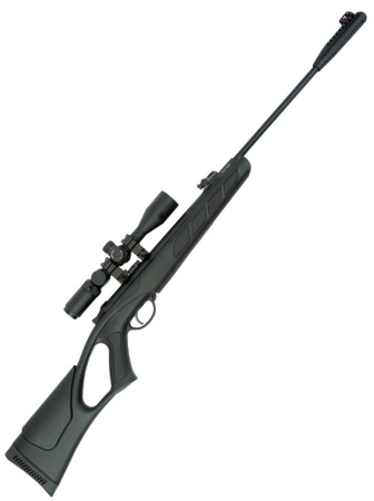 Picture1