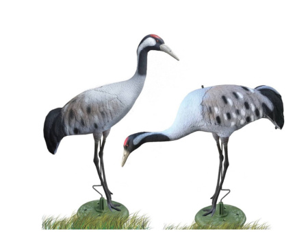 Журавль серый кормящийся Sport Plast /1600F/ (2)