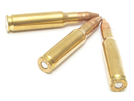 Патрон .308W DN 10.7 DK/1шт. (1)